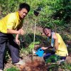 วันต้นไม้ประจำปีของชาติ 2566