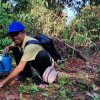วันต้นไม้ประจำปีของชาติ 2566
