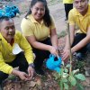 วันต้นไม้ประจำปีของชาติ 2566