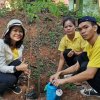 วันต้นไม้ประจำปีของชาติ 2566