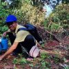 วันต้นไม้ประจำปีของชาติ 2566