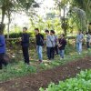 25600120photo10